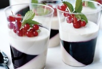dairy cream - panna cotta flavor